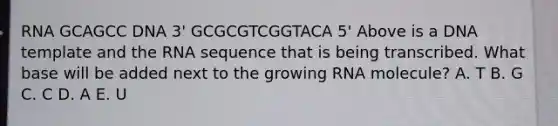 RNA GCAGCC DNA 3' GCGCGTCGGTACA 5' Above is a DNA template and the RNA sequence that is being transcribed. What base will be added next to the growing RNA molecule? A. T B. G C. C D. A E. U