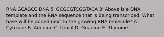 RNA GCAGCC DNA 5' GCGCGTCGGTACA 3' Above is a DNA template and the RNA sequence that is being transcribed. What base will be added next to the growing RNA molecule? A. Cytosine B. Adenine C. Uracil D. Guanine E. Thymine