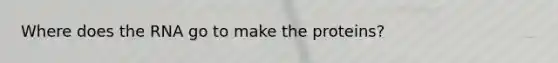 Where does the RNA go to make the proteins?