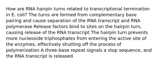 How are RNA hairpin turns related to transcriptional termination in E. coli? The turns are formed from complementary base pairing and cause separation of the RNA transcript and RNA polymerase Release factors bind to sites on the hairpin turn, causing release of the RNA transcript The hairpin turn prevents more nucleoside triphosphates from entering the active site of the enzymes, effectively shutting off the process of polymerization A three-base repeat signals a stop sequence, and the RNA transcript is released