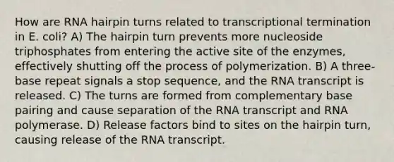 How are RNA hairpin turns related to transcriptional termination in E. coli? A) The hairpin turn prevents more nucleoside triphosphates from entering the active site of the enzymes, effectively shutting off the process of polymerization. B) A three-base repeat signals a stop sequence, and the RNA transcript is released. C) The turns are formed from complementary base pairing and cause separation of the RNA transcript and RNA polymerase. D) Release factors bind to sites on the hairpin turn, causing release of the RNA transcript.