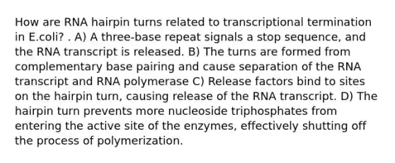 How are RNA hairpin turns related to transcriptional termination in E.coli? . A) A three-base repeat signals a stop sequence, and the RNA transcript is released. B) The turns are formed from complementary base pairing and cause separation of the RNA transcript and RNA polymerase C) Release factors bind to sites on the hairpin turn, causing release of the RNA transcript. D) The hairpin turn prevents more nucleoside triphosphates from entering the active site of the enzymes, effectively shutting off the process of polymerization.