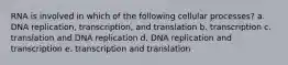 RNA is involved in which of the following cellular processes? a. DNA replication, transcription, and translation b. transcription c. translation and DNA replication d. DNA replication and transcription e. transcription and translation