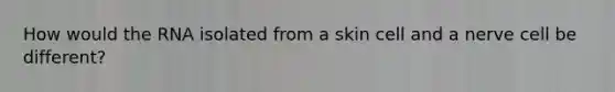How would the RNA isolated from a skin cell and a nerve cell be different?