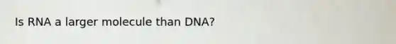 Is RNA a larger molecule than DNA?