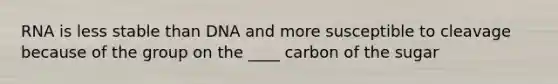 RNA is less stable than DNA and more susceptible to cleavage because of the group on the ____ carbon of the sugar