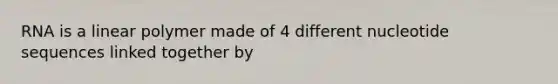 RNA is a linear polymer made of 4 different nucleotide sequences linked together by