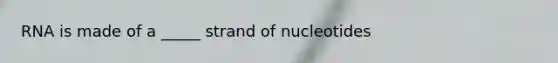 RNA is made of a _____ strand of nucleotides