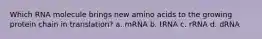 Which RNA molecule brings new amino acids to the growing protein chain in translation? a. mRNA b. tRNA c. rRNA d. dRNA