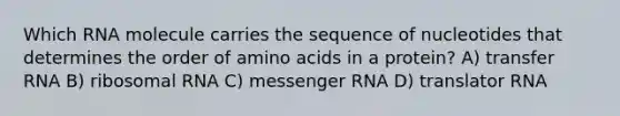 Which RNA molecule carries the sequence of nucleotides that determines the order of <a href='https://www.questionai.com/knowledge/k9gb720LCl-amino-acids' class='anchor-knowledge'>amino acids</a> in a protein? A) <a href='https://www.questionai.com/knowledge/kYREgpZMtc-transfer-rna' class='anchor-knowledge'>transfer rna</a> B) ribosomal RNA C) <a href='https://www.questionai.com/knowledge/kDttgcz0ig-messenger-rna' class='anchor-knowledge'>messenger rna</a> D) translator RNA