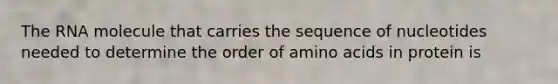 The RNA molecule that carries the sequence of nucleotides needed to determine the order of amino acids in protein is