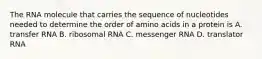 The RNA molecule that carries the sequence of nucleotides needed to determine the order of amino acids in a protein is A. transfer RNA B. ribosomal RNA C. messenger RNA D. translator RNA