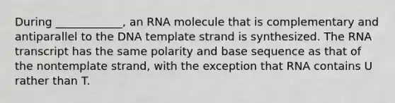 During ____________, an RNA molecule that is complementary and antiparallel to the DNA template strand is synthesized. The RNA transcript has the same polarity and base sequence as that of the nontemplate strand, with the exception that RNA contains U rather than T.