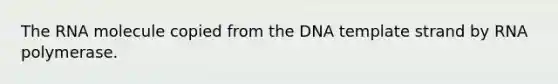 The RNA molecule copied from the DNA template strand by RNA polymerase.