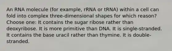 An RNA molecule (for example, rRNA or tRNA) within a cell can fold into complex three-dimensional shapes for which reason? Choose one: It contains the sugar ribose rather than deoxyribose. It is more primitive than DNA. It is single-stranded. It contains the base uracil rather than thymine. It is double-stranded.