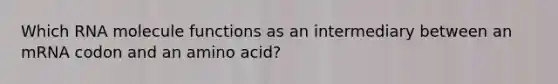 Which RNA molecule functions as an intermediary between an mRNA codon and an amino acid?