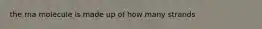 the rna molecule is made up of how many strands