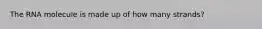 The RNA molecule is made up of how many strands?