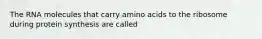 The RNA molecules that carry amino acids to the ribosome during protein synthesis are called