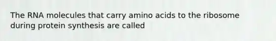 The RNA molecules that carry amino acids to the ribosome during protein synthesis are called