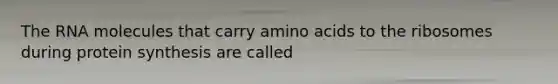 The RNA molecules that carry amino acids to the ribosomes during protein synthesis are called