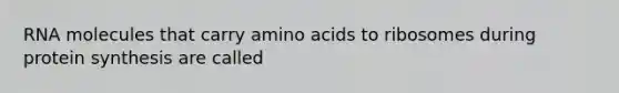 RNA molecules that carry amino acids to ribosomes during protein synthesis are called