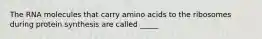 The RNA molecules that carry amino acids to the ribosomes during protein synthesis are called _____