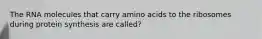 The RNA molecules that carry amino acids to the ribosomes during protein synthesis are called?