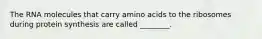 The RNA molecules that carry amino acids to the ribosomes during protein synthesis are called ________.