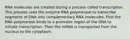 RNA molecules are created during a process called transcription. This process uses the enzyme RNA polymerase to transcribe segments of DNA into complementary RNA molecules. First the RNA polymerase binds to a promoter region of the DNA to initiate transcription. Then the mRNA is transported from the nucleus to the cytoplasm.