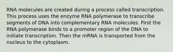 RNA molecules are created during a process called transcription. This process uses the enzyme RNA polymerase to transcribe segments of DNA into complementary RNA molecules. First the RNA polymerase binds to a promoter region of the DNA to initiate transcription. Then the mRNA is transported from the nucleus to the cytoplasm.