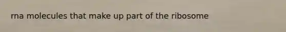 rna molecules that make up part of the ribosome