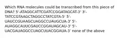 Which RNA molecules could be transcribed from this piece of DNA? 5'-ATAGGCATTCGATCCGGATAGCAT-3' 3'-TATCCGTAAGCTAGGCCTATCGTA-5' 5'-UAUCCGUAAGCUAGGCCUAUGCUA-3' 5'-AUAGGCAUUCGAUCCGGAUAGCAU-3' 5'-UACGAUAGGCCUAGCUUACGGAUA-3' none of the above