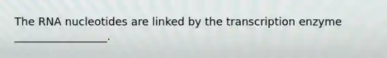 The RNA nucleotides are linked by the transcription enzyme _________________.