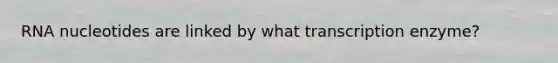 RNA nucleotides are linked by what transcription enzyme?