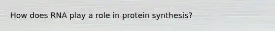 How does RNA play a role in protein synthesis?