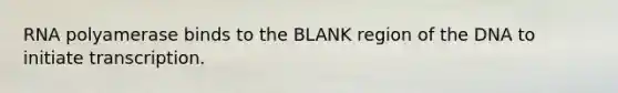 RNA polyamerase binds to the BLANK region of the DNA to initiate transcription.