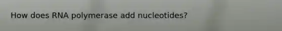 How does RNA polymerase add nucleotides?