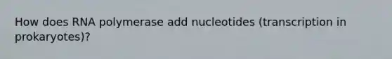 How does RNA polymerase add nucleotides (transcription in prokaryotes)?