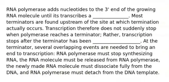 RNA polymerase adds nucleotides to the 3' end of the growing RNA molecule until its transcribes a _______________. Most terminators are found upstream of the site at which termination actually occurs. Transcription therefore does not suddenly stop when polymerase reaches a terminator; Rather, transcription stops after the terminator has been ____________________. At the terminator, several overlapping events are needed to bring an end to transcription: RNA polymerase must stop synthesizing RNA, the RNA molecule must be released from RNA polymerase, the newly made RNA molecule must dissociate fully from the DNA, and RNA polymerase must detach from the DNA template.