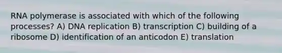 RNA polymerase is associated with which of the following processes? A) DNA replication B) transcription C) building of a ribosome D) identification of an anticodon E) translation