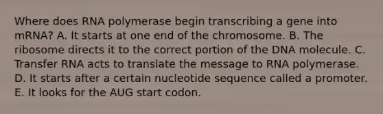 Where does RNA polymerase begin transcribing a gene into mRNA? A. It starts at one end of the chromosome. B. The ribosome directs it to the correct portion of the DNA molecule. C. Transfer RNA acts to translate the message to RNA polymerase. D. It starts after a certain nucleotide sequence called a promoter. E. It looks for the AUG start codon.