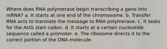 Where does RNA polymerase begin transcribing a gene into mRNA? a. It starts at one end of the chromosome. b. <a href='https://www.questionai.com/knowledge/kYREgpZMtc-transfer-rna' class='anchor-knowledge'>transfer rna</a> acts to translate the message to RNA polymerase. c. It looks for the AUG start codon. d. It starts at a certain nucleotide sequence called a promoter. e. The ribosome directs it to the correct portion of the DNA molecule.