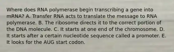 Where does RNA polymerase begin transcribing a gene into mRNA? A. Transfer RNA acts to translate the message to RNA polymerase. B. The ribosome directs it to the correct portion of the DNA molecule. C. It starts at one end of the chromosome. D. It starts after a certain nucleotide sequence called a promoter. E. It looks for the AUG start codon.