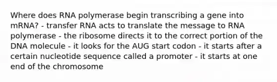 Where does RNA polymerase begin transcribing a gene into mRNA? - transfer RNA acts to translate the message to RNA polymerase - the ribosome directs it to the correct portion of the DNA molecule - it looks for the AUG start codon - it starts after a certain nucleotide sequence called a promoter - it starts at one end of the chromosome