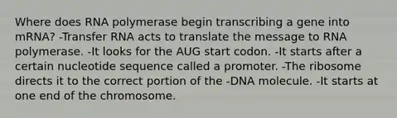 Where does RNA polymerase begin transcribing a gene into mRNA? -Transfer RNA acts to translate the message to RNA polymerase. -It looks for the AUG start codon. -It starts after a certain nucleotide sequence called a promoter. -The ribosome directs it to the correct portion of the -DNA molecule. -It starts at one end of the chromosome.