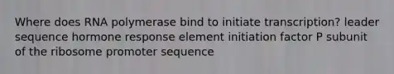 Where does RNA polymerase bind to initiate transcription? leader sequence hormone response element initiation factor P subunit of the ribosome promoter sequence