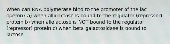 When can RNA polymerase bind to the promoter of the lac operon? a) when allolactose is bound to the regulator (repressor) protein b) when allolactose is NOT bound to the regulator (repressor) protein c) when beta galactosidase is bound to lactose