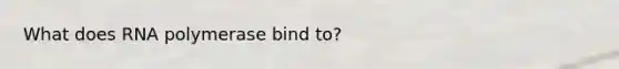 What does RNA polymerase bind to?