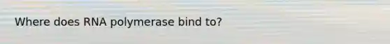 Where does RNA polymerase bind to?